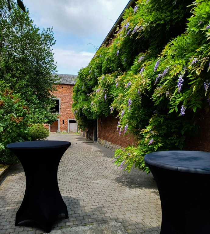 Terrasse attenante à la Petite Salle