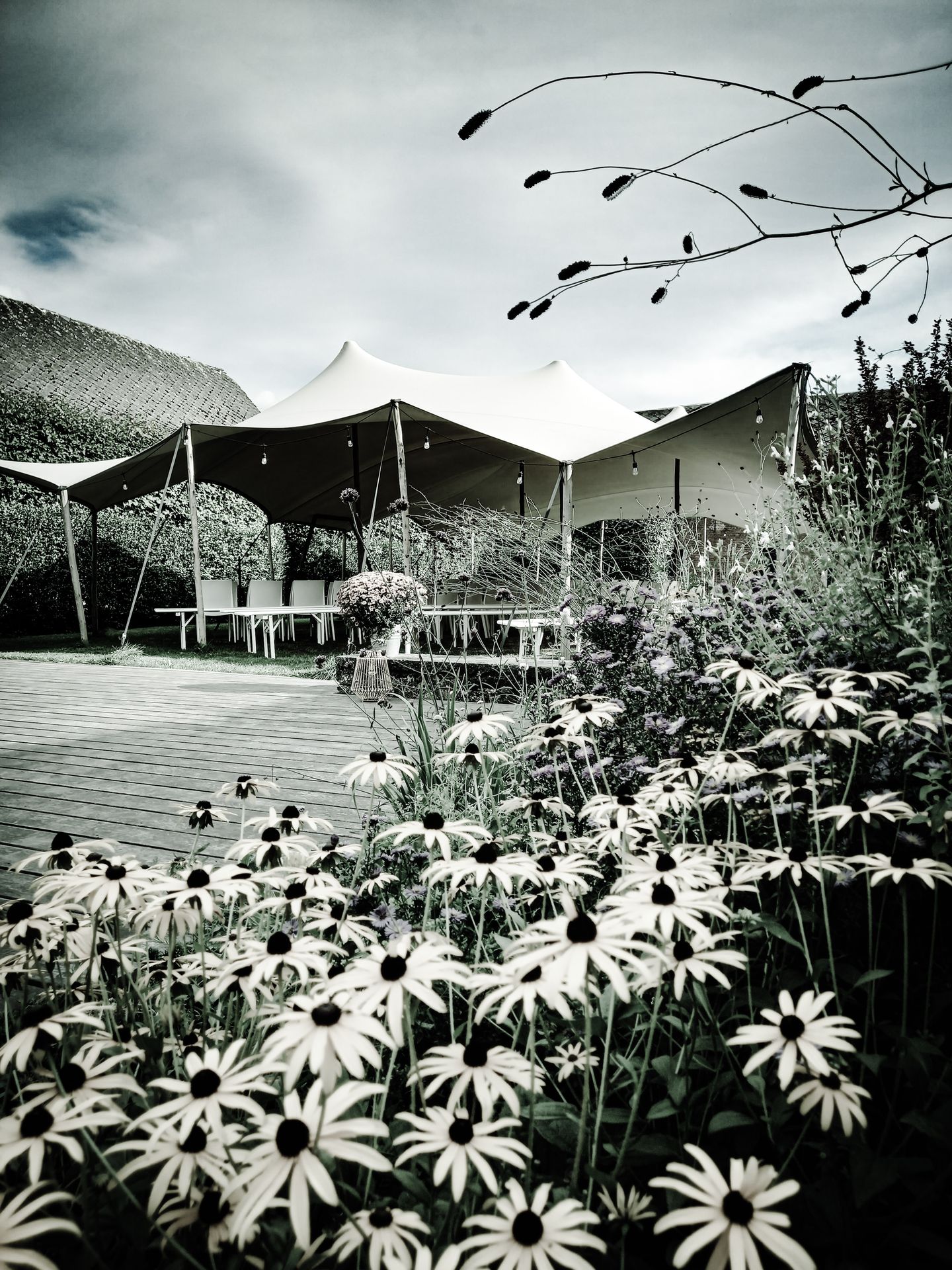 Jardin de la Grande Salle